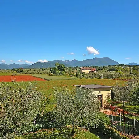Il Melograno Di Puegnago Igs01356 Dyc *